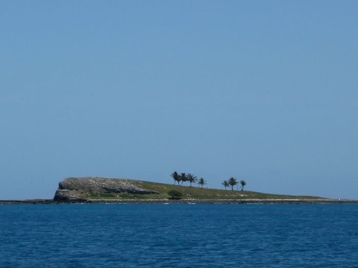 Luna de Miel : Brasil 23