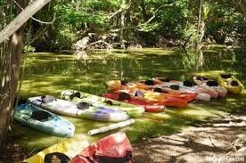 Luna de Miel : Puerto Rico 19