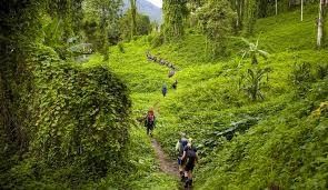 Luna de Miel : Nueva guinea 17