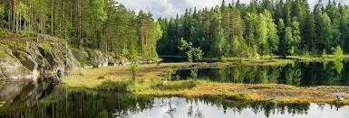 Luna de Miel : Finlandia 9