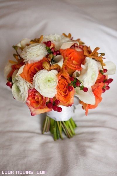 Colores : Ramos en Naranja 1