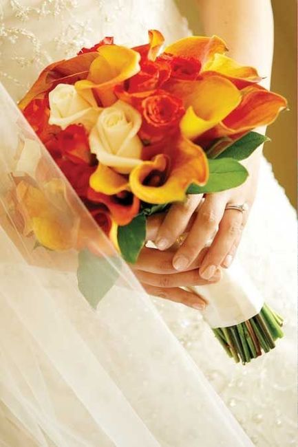 Colores : Ramos en Naranja 3