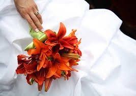 Colores : Ramos en Naranja 4