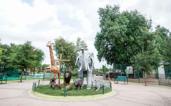 Zoológico de Nuevo Laredo.