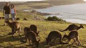 Luna de Miel : Australia - 28