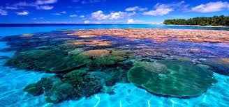 Luna de Miel : Islas Marshall - 3