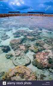 Luna de Miel : Islas Marshall - 6
