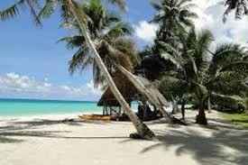 Luna de Miel : Islas Marshall - 8