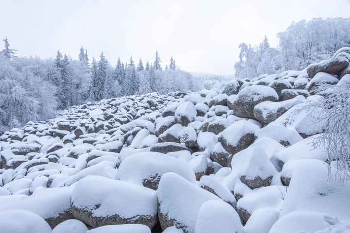 Luna de Miel : Bulgaria - 6