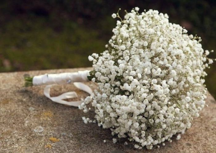 Ramo de novia de paniculata.