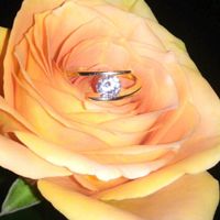 Y si me enseñas tu anillo? - 1