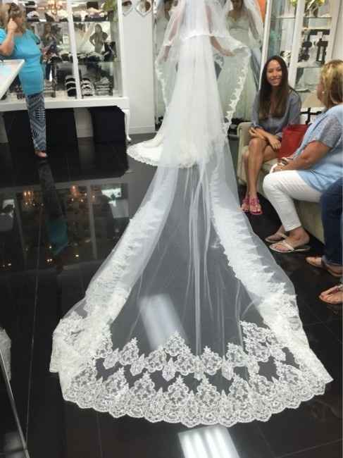 Así hice mi pedido, son 5 metros de largo por 3 de ancho.