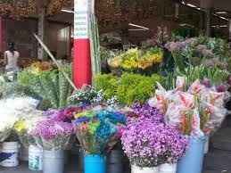 Toda la variedad