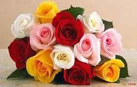 Rosas