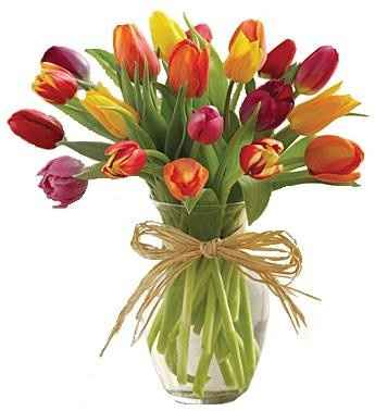 TULIPANES