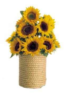 GIRASOLES
