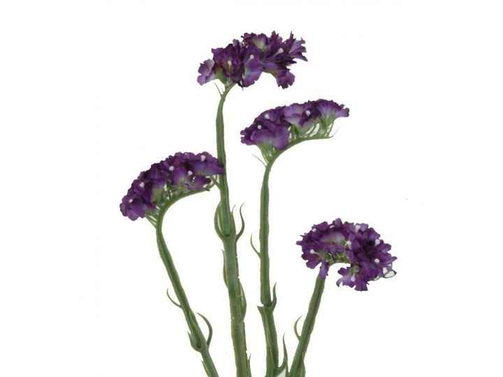 STATIS