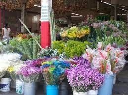 Toda la variedad