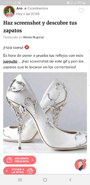 Haz screenshot y descubre tus zapatos 5