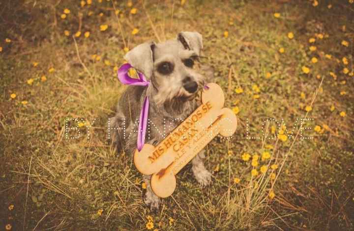 Incluir a nuestra mascota  (hijos perrunos) en la boda - 4
