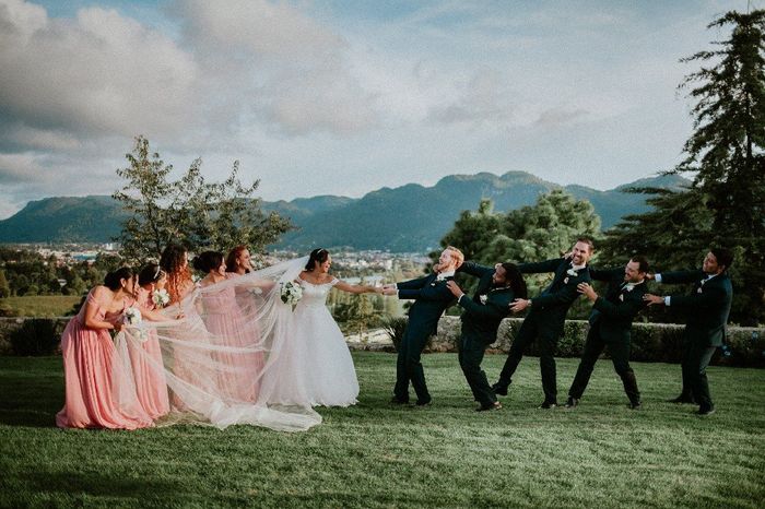 ¿que velo elegir? - 3