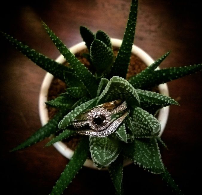 Guerra de fotitos de propuestas.... - 1