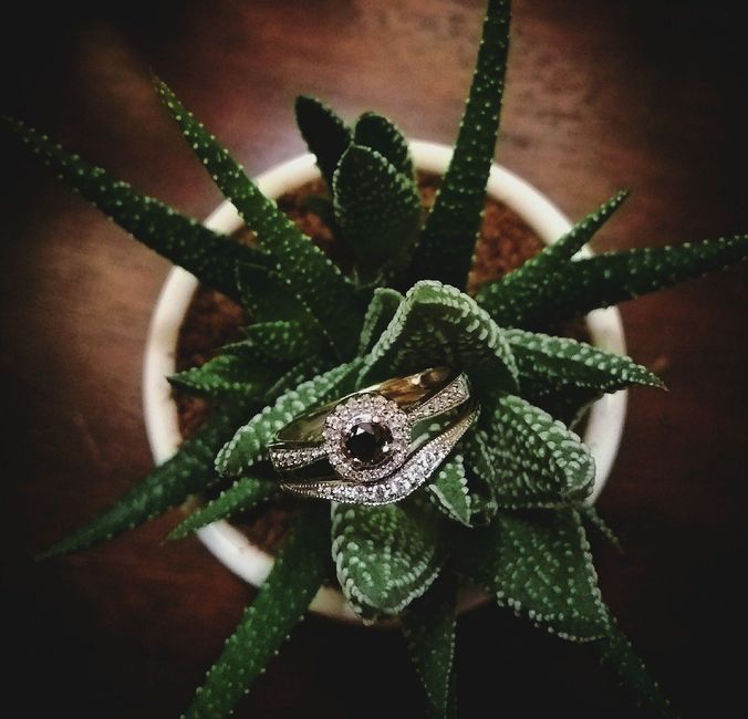 Anillos de Compromiso - 1