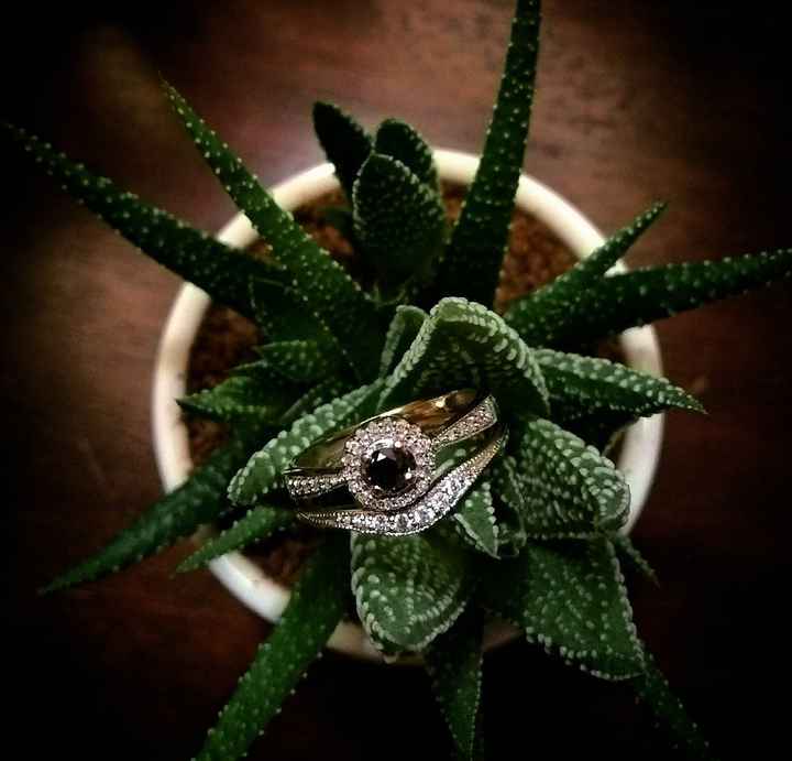 Guerra de fotitos de propuestas.... - 1