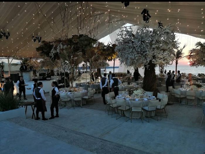 Traspaso salón Bahía Delfín Mazatlán - 3