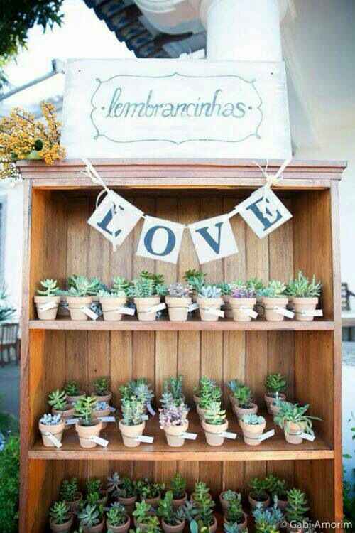 Suculentas Mini Como recuerdos?? - 1