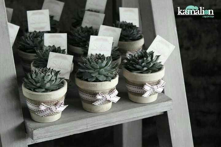 Suculentas Mini Como recuerdos?? - 2