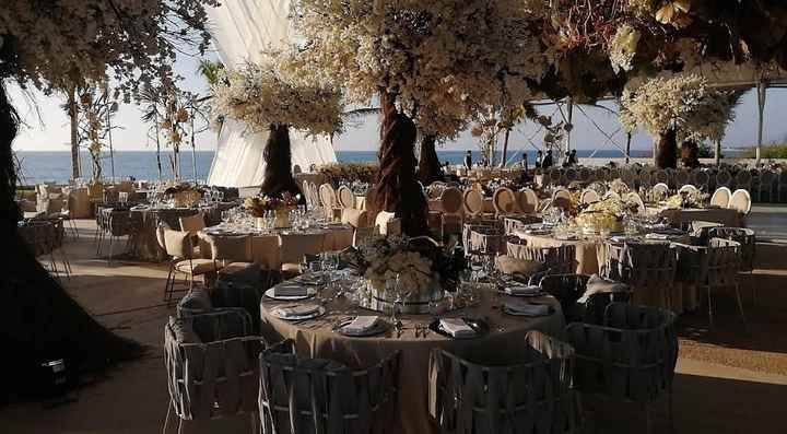 Traspaso salón Bahía Delfín Mazatlán - 1