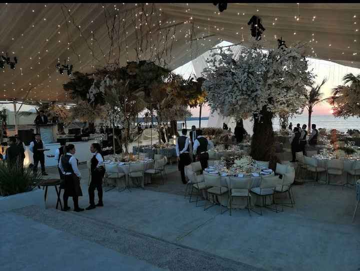 Traspaso salón Bahía Delfín Mazatlán - 3