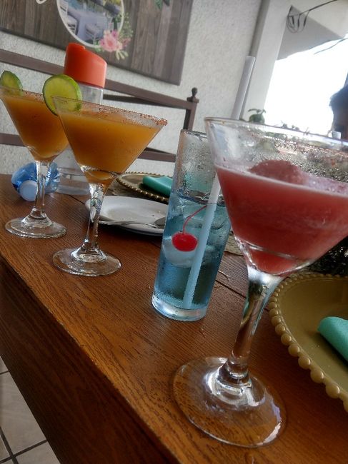 Degustación de platillo y bebidas 🤩 3