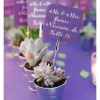 Colores recuerdos de boda Green Eco-friendly - 2