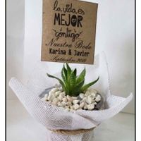 Colores recuerdos de boda Green Eco-friendly - 1