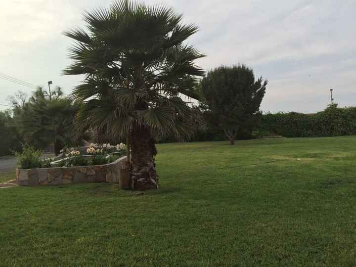 Jardín