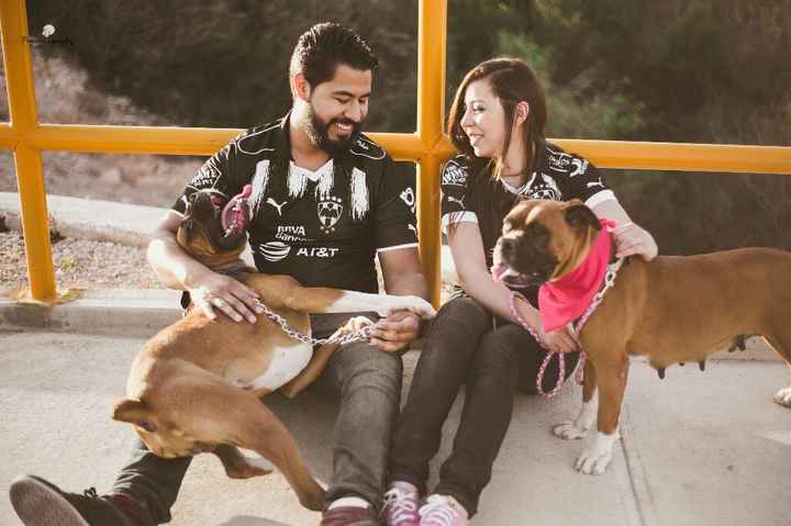 Incluir a tu mascota - 1