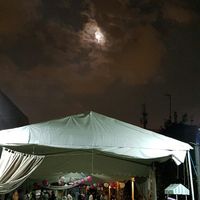 Mi boda - 7