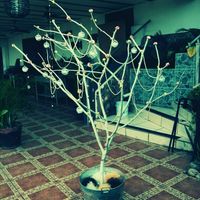 El gran dia de mis diy - 2