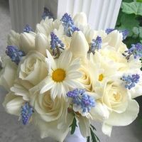 Buscando la combinación de colores ideal