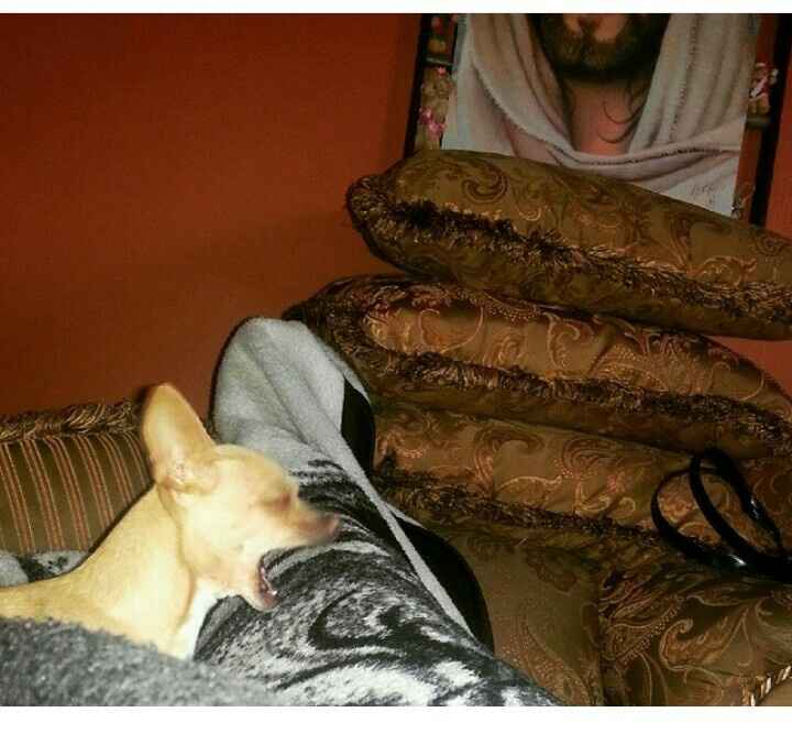 Les presento a.... - 1