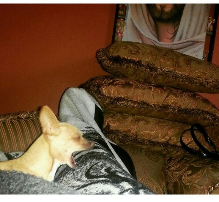 Les presento a.... - 1