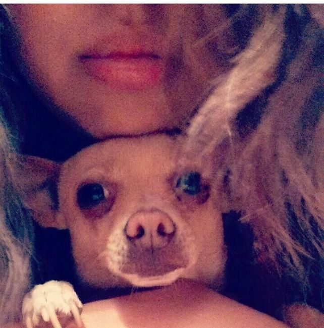 Les presento a.... - 5