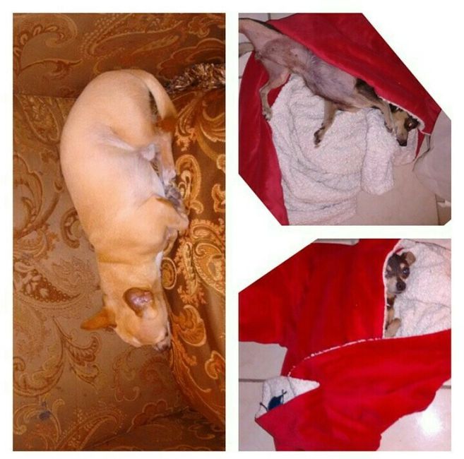 Les presento a.... - 8