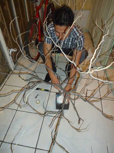 Árbol de los buenos deseos