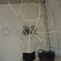 Árbol de los buenos deseos