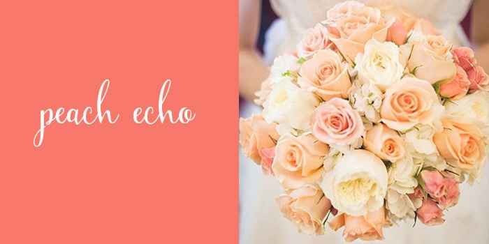 Color para combinar en una boda - 6