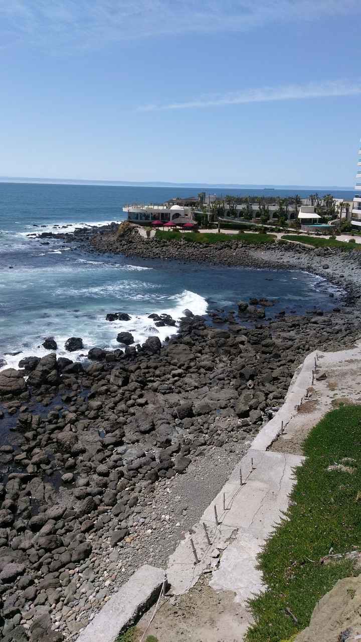Vista del jardin