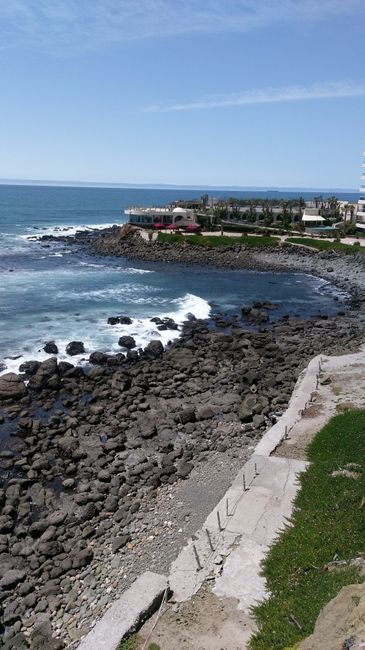 Vista del jardin